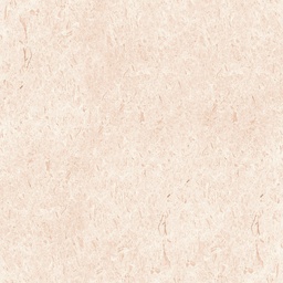 LIEGE BEIGE