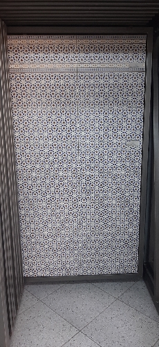 SAL 505
