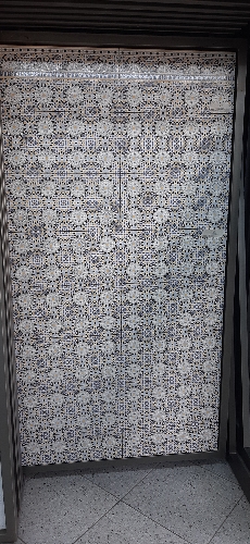 SAL 503