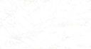 CARRARA M