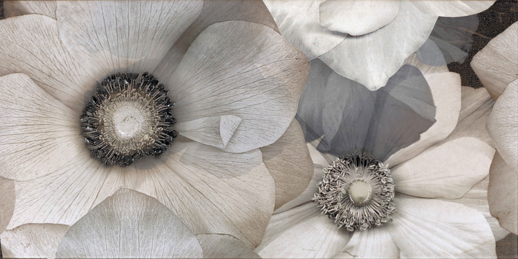 ABSOLUT GRI FLORAL