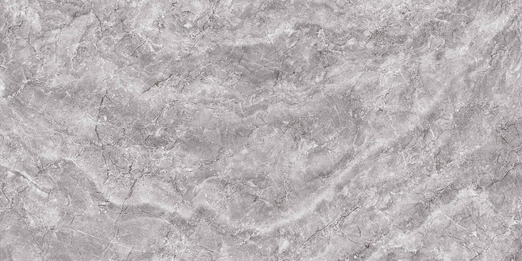 LION GRIS 30