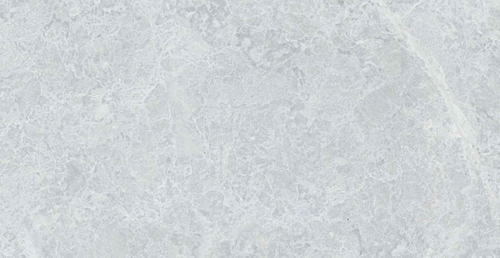 TULIPE GRIS CLAIR