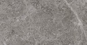 TULIPE GRIS