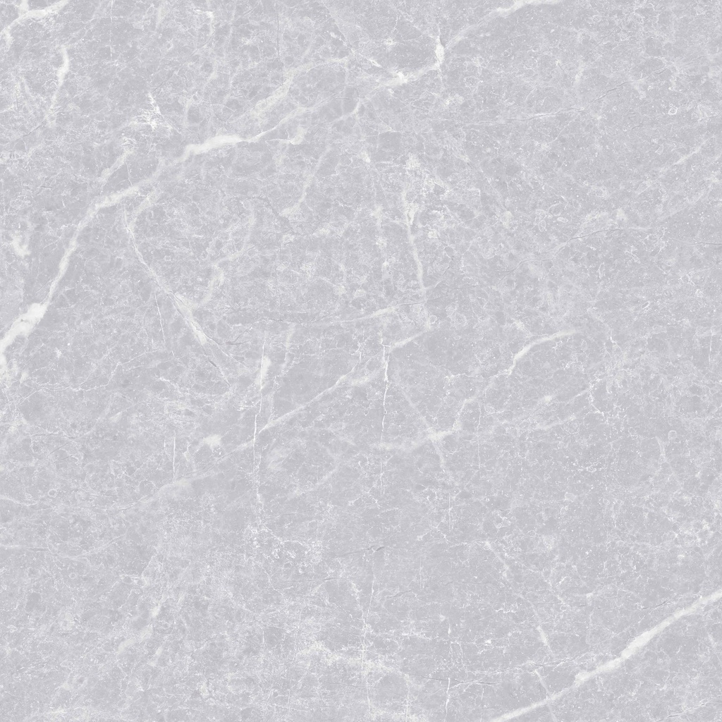 MODERNA GRIS