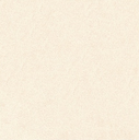 COMPACTO BEIGE