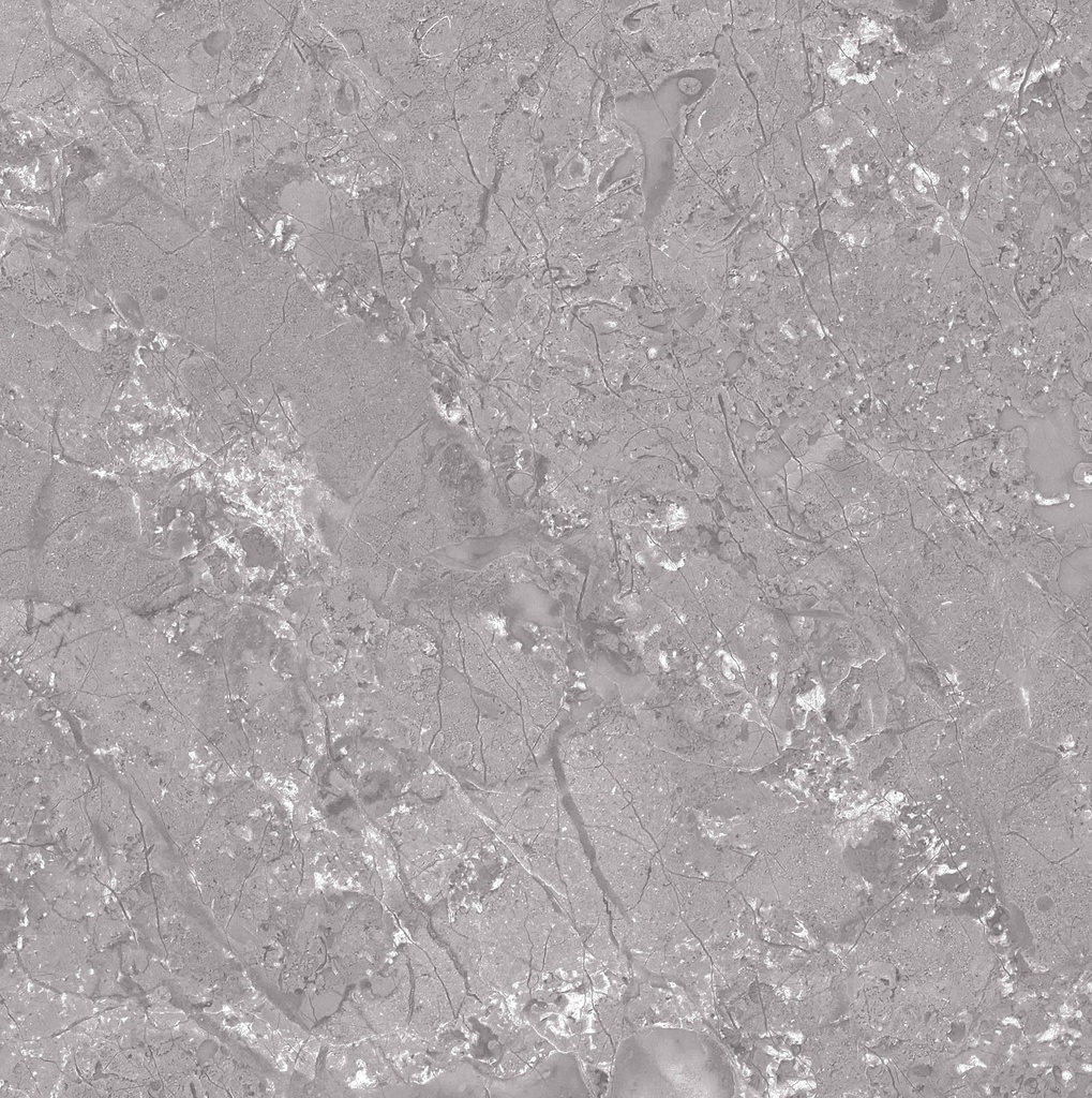 TANILA GRIS CLR 45