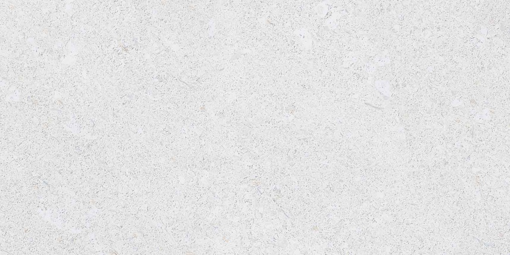 BARSA 10GRIS CLR M