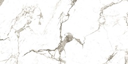 VENIZIA GRIS 30