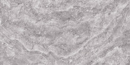 LION GRIS 30