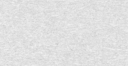 ASTER GRIS CLAIR