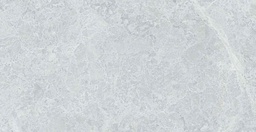 TULIPE GRIS CLAIR