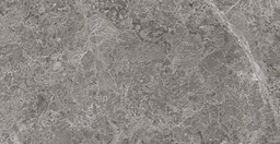 TULIPE GRIS