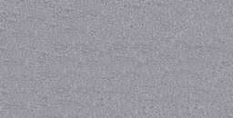 NARVA GRIS