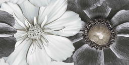 DECO FLORAL BLA M
