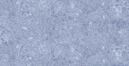 THEO BLEU M