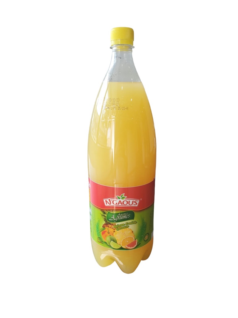 Drink N'GAOUS Agrumes Ananas 2L