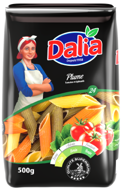 [DLPPLTEP500] Pâtes plume Tomates & Epinards DALIA 500g