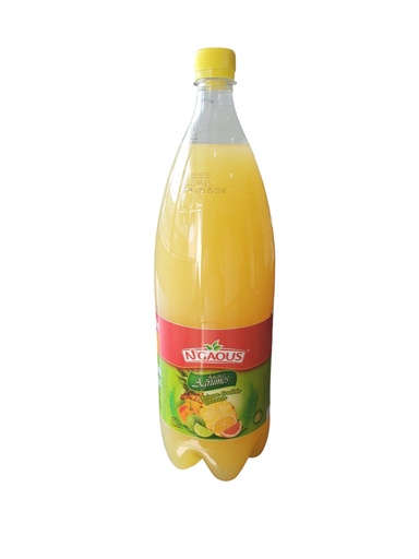 [BGNAA2] Drink N'GAOUS Agrumes Ananas 2L
