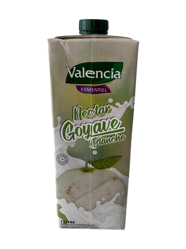 [JVGV1L] VALENCIA Guava Nectar 1L x 12